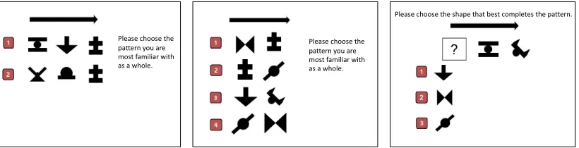 Figure 3. 1.  Sample questions from the visual statistical learning (VSL) task test phase