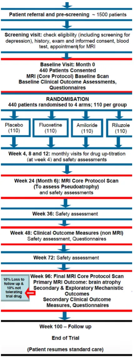 Figure 1 Multiple Sclerosis-Secondary Progressive Multi-Arm Randomisation Trial participant timeline.