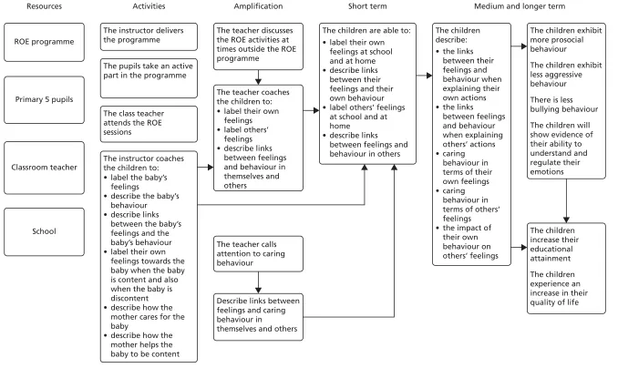 FIGURE 1 Logic model for the ROE programme.