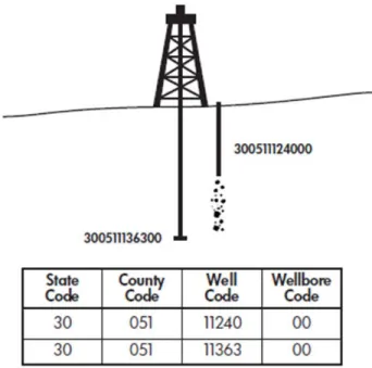 Figure 7. Pad Wells – Wells from an onshore multi-well pad. Each is a separate penetration of the earth’s surface