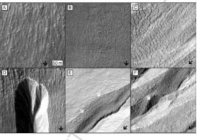 Fig. 5.ACCEPTED MANUSCRIPT Examples of pasted-on terrain textures, each image has the same scale as indicated in panel 