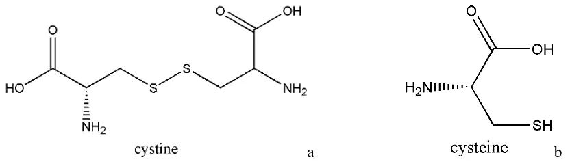 Figure 3. The a) oxidized (cystine) and the b) reduced (cysteine) forms of an amino acid 