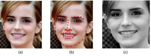 Figure 5. Feature Representation obtained for the aligned gray- scale face image using the CNN trained for face-identification task