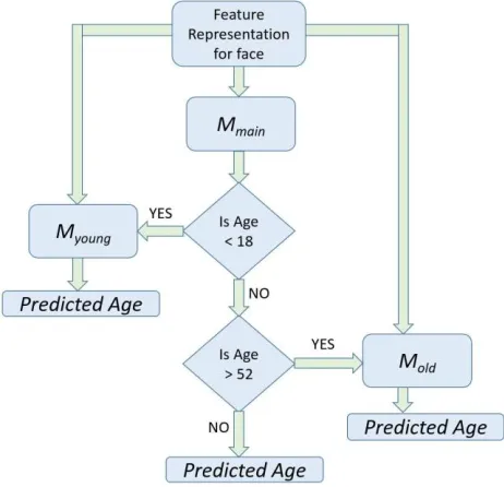 Figure 6. The 3-layer neural network used for estimating the ap- parent age. 