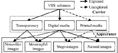 Fig. 1. The classification of the existing VSS research from the viewpoints of carriers