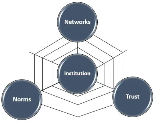 Figure 1: Creating an Institutional Web of Support (based on Coleman, 1988) 