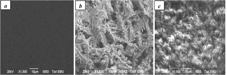 Figure 2. SEM micrograph of the thin-film surfaces; (a) untreated gold substrate, (treated and (c) nebulized organic membrane-sensitive layer