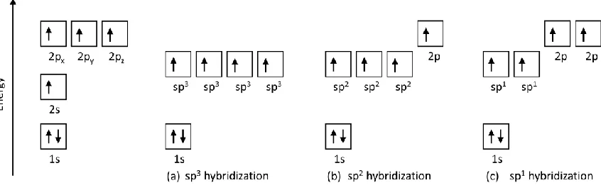 Figure 1-2 (a) sp3, (b) sp2 and (c) sp1 hybridization of electron orbitals in carbon 