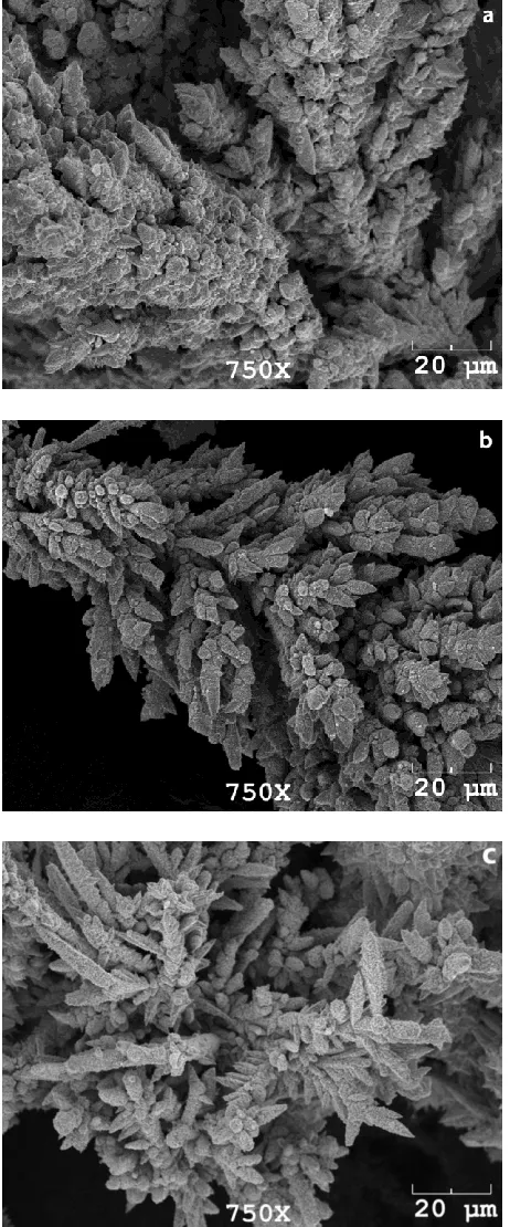 Figure 8. SEM micrograph of Cu-Zn alloy powder electrodeposited at different current densities:  a) 75, b) 125 and c) 175 mA cm-2 (Cu/Zn 5, 35°C, 250 rpm)