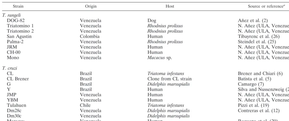 FIG. 1. Schematic representation of T. cruzimeric organization. Horizontal bars indicate the regions ampliﬁed byeach set of primers
