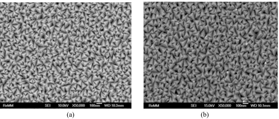 Figure 6. Planar SEM images obtained on Nb sputter coated specimens: (a) prior to and (b) after the potentiostatic test in purged H2 