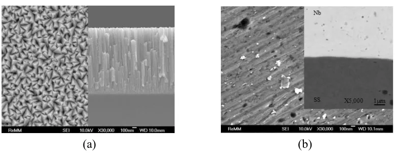 Figure 2(b) shows a cross-sectional micrograph with a low magnification including clad Nb layer and 
