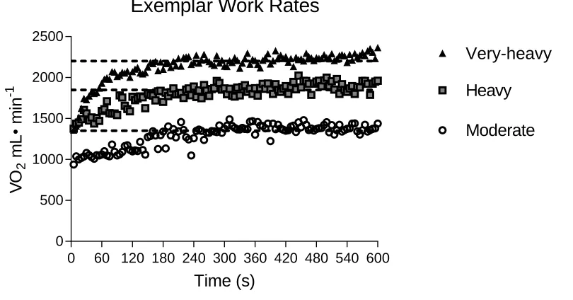 Table 2. Participant-specific results for the ramp incremental treadmill tests. Participant-specific 