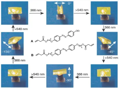 Figure 1.20   Photoresponsive liquid-crystal elastomer synthesized by Ikeda and co-workers