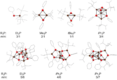 Figure 1.3 Molecular structures of trialkylphosphine-stabilized group 11 chalcogenolate clusters in the crystal