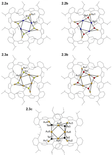 Figure 2.2 Molecular structures of 2.2a,b and 2.3a-c in the crystal. The core metal and chalcogen atoms are represented by thermal ellipsoids plotted at the 50% probability level