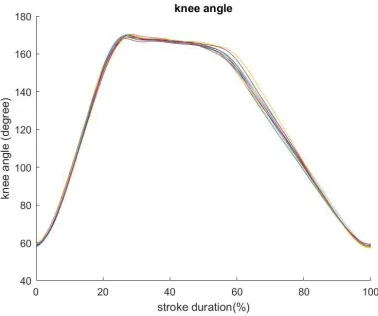 Figure 4: Example of knee angle for 11 strokes normalized with time 
