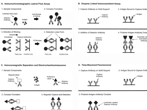 FIG. 1. Principles of the four primary immunological assays. (A) Lateral ﬂow immunochromatographic assay (handheld assay);(B) ELISA; (C) ECL; (D) TRF.