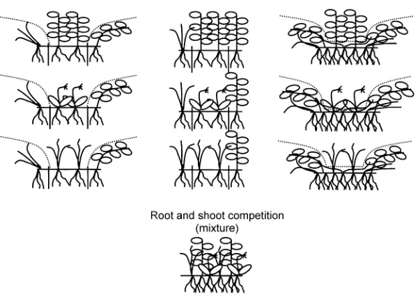 Fig. 1 The expanded combined-monocultures design. The design is illustrated for a community of three species for clarity, butthe experiment used a community of seven species