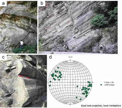 Figure 3.12 Photos showing D2 deformation in the Liuling Group. The lower-