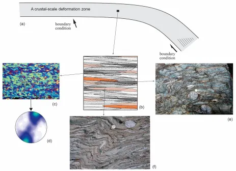Figure 1.2 Heterogenous deformation throughout Earth’s lithosphere (modified after Jiang, 