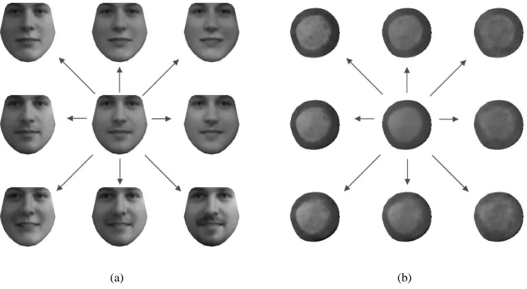 Figure 2.5: (a): Example of the ﬁrst two modes of intrinsic appearance variation for a human facelearnt from the IMM Face database [89]