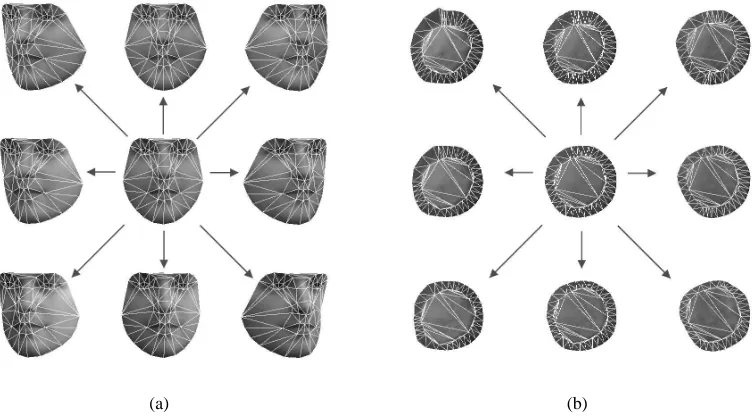 Figure 2.6: (a): Example of the ﬁrst two modes of combined appearance variation for a human facevariation for the left ventricle learnt from the database described in [112]