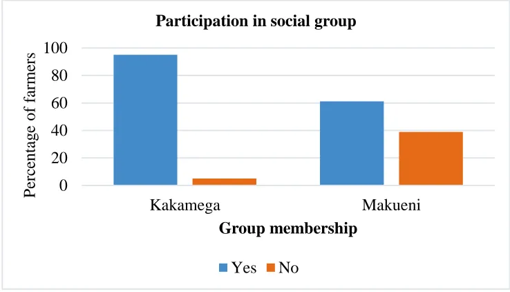 Figure 2 : Participation in a social group 