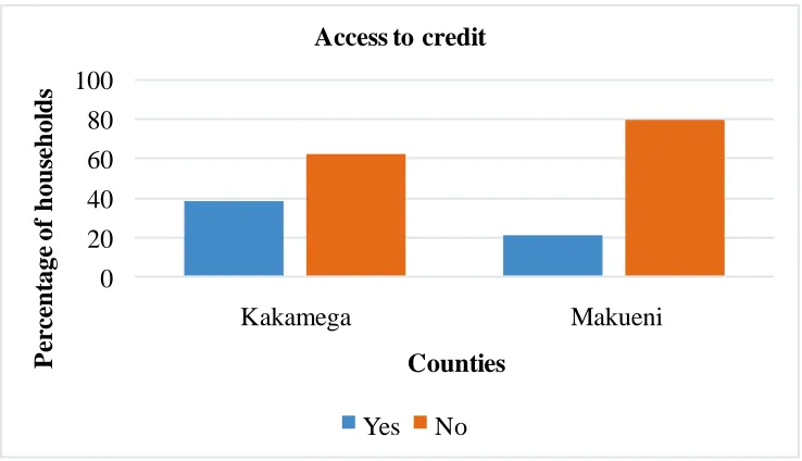 Figure 4: Access to credit in Kakamega and Makueni 