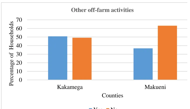 Figure 5 : Participation in other off-farm activities 