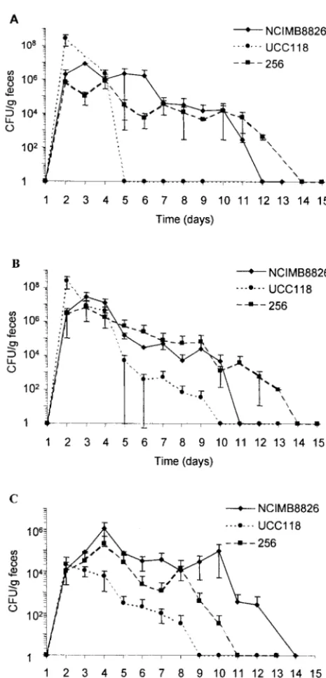 FIG. 1. Fecal counts of L. plantarumectally (C) for three consecutive days (days 1 to 3)