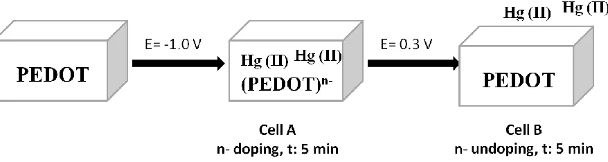 Figure 3 . Response within the n-doping/undoping potential region of SS|PEDOT in PBS + 1·10-3 mol L-1 of: TBA+ (solid line), Hg (II) (dashed line), Li (I) (dotted line)