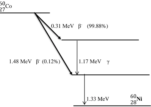 Figure 3.1:  The decay scheme of 60Co to attain the ground state as the daughter emits 
