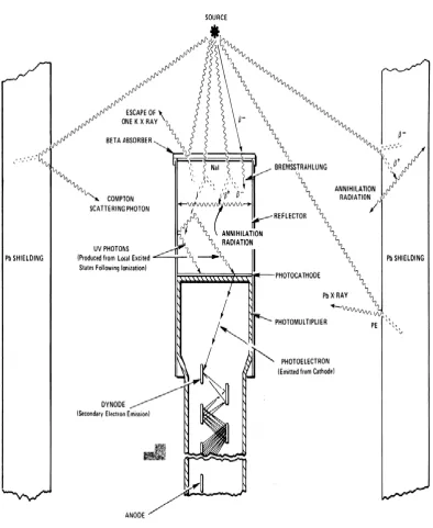 Figure 3.7: Set up for a gamma ray spectroscopy showing a source emitting gamma 