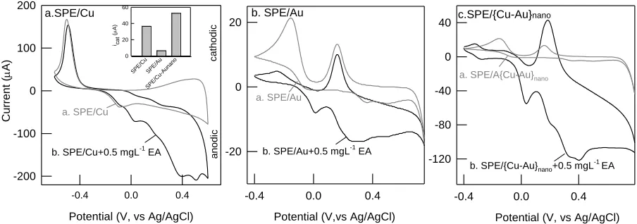 Figure 2. CV responses of (A) SPE/Cu (B) SPE/Au and (C) SPE/{Cu-Au}nano at potential window of +0.6 V to -0.6 V vs
