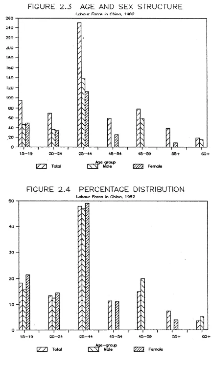 FIGURE 2.3 AGE AND SEX STRUCTURE