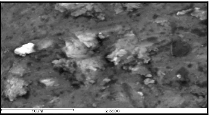 Figure 6. Surface morphology of Ti-6Al-4V alloy in 0.01M NaCl solution.  