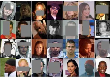 Fig. 5. A random sample of training images with the top 5 data augmentation policies applied.