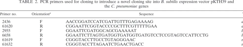 TABLE 1. Plasmids and B. subtilis strains used in this study