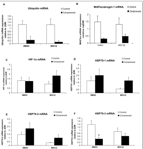Figure 7 mRNA Expression of Ubiquitin, MAFbx/atrogin-1, HIF-1MG132 treated animals were evaluated by real time PCR analysis