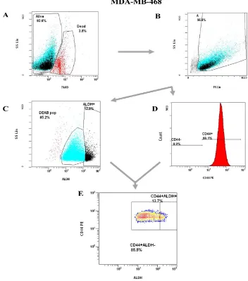 Figure 4. Representative flow cytometry gating strategy for Analysis of ALDH activity and/or CD44 cell surface expression in adherent MDA-MB-468 human breast 