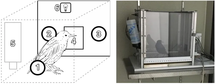 Figure 3.1. A schematic of the operant testing boxes used in the experiments, labelled as follows: 