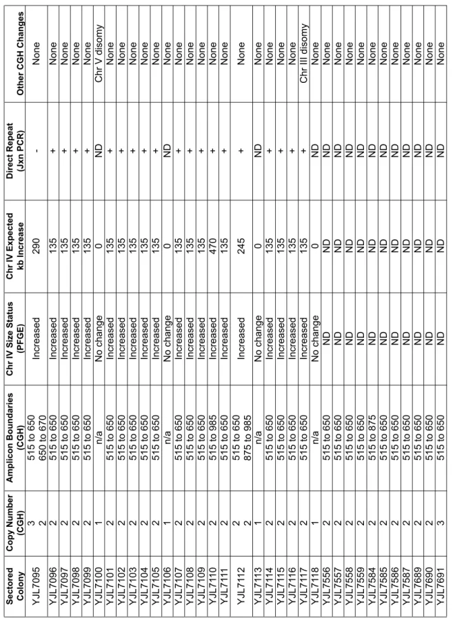 Table S2 Analysis of sectored colonies generated by re-replicating strain containing reporter cassette at Chr IV 567kb (YJL6558)