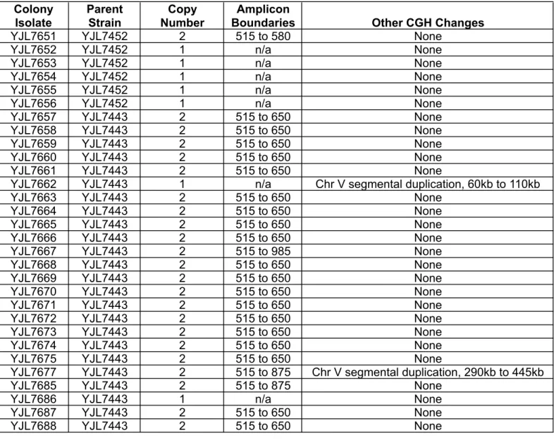 Table S6 (continued) Colony Isolate ParentStrain Copy Number Amplicon