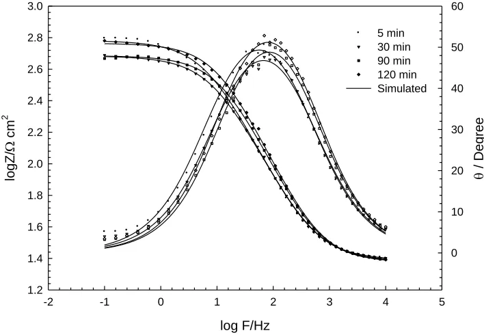 Figure 3. Bode plots for Sn electrode after different time intervals of immersion in naturally aerated aqueous 1.0 mol dm-3 tartaric acid solution at pH 1.8 and 25oC