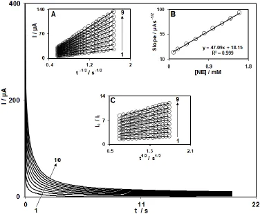 Figure 3.  (A) Chronoamperograms obtained at FCDCNPE in 0.1 M phosphate buffer solution (pH 5.0) for different concentration of NE