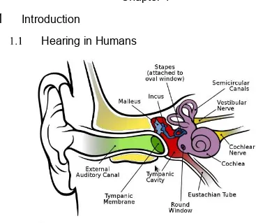 Figure 1.1 : Structure of the human ear. [1] 