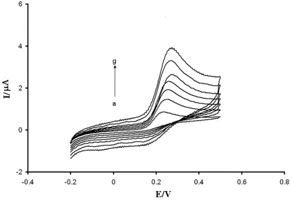 Figure 4. Cyclic voltammograms of 200.0 µmol/L AA at the polymer modified electrode with various scan rates as: a) 10; b) 30; c) 50; d) 70; e) 90; f) 130; and g) 170 mV/s
