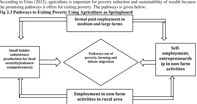 Fig 2.3 Pathways to Exiting Poverty Using Agriculture as Springboard 