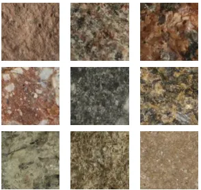 Figure 3.1: Sample images from dataset. Each sample stands for one class. All images havesize of 128 × 128 × 3 pixels and are between 1 and 2 cm across 